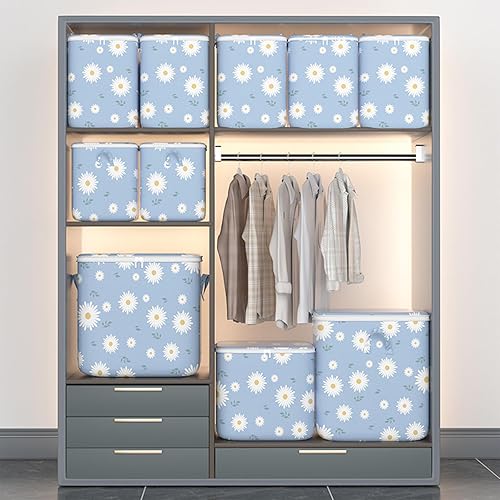 Clothes Storage Bag - Wardrobe Sorting Storage Box, Fashion Portable Storage Bag, Winter Cup Storage Box Indoor (B)