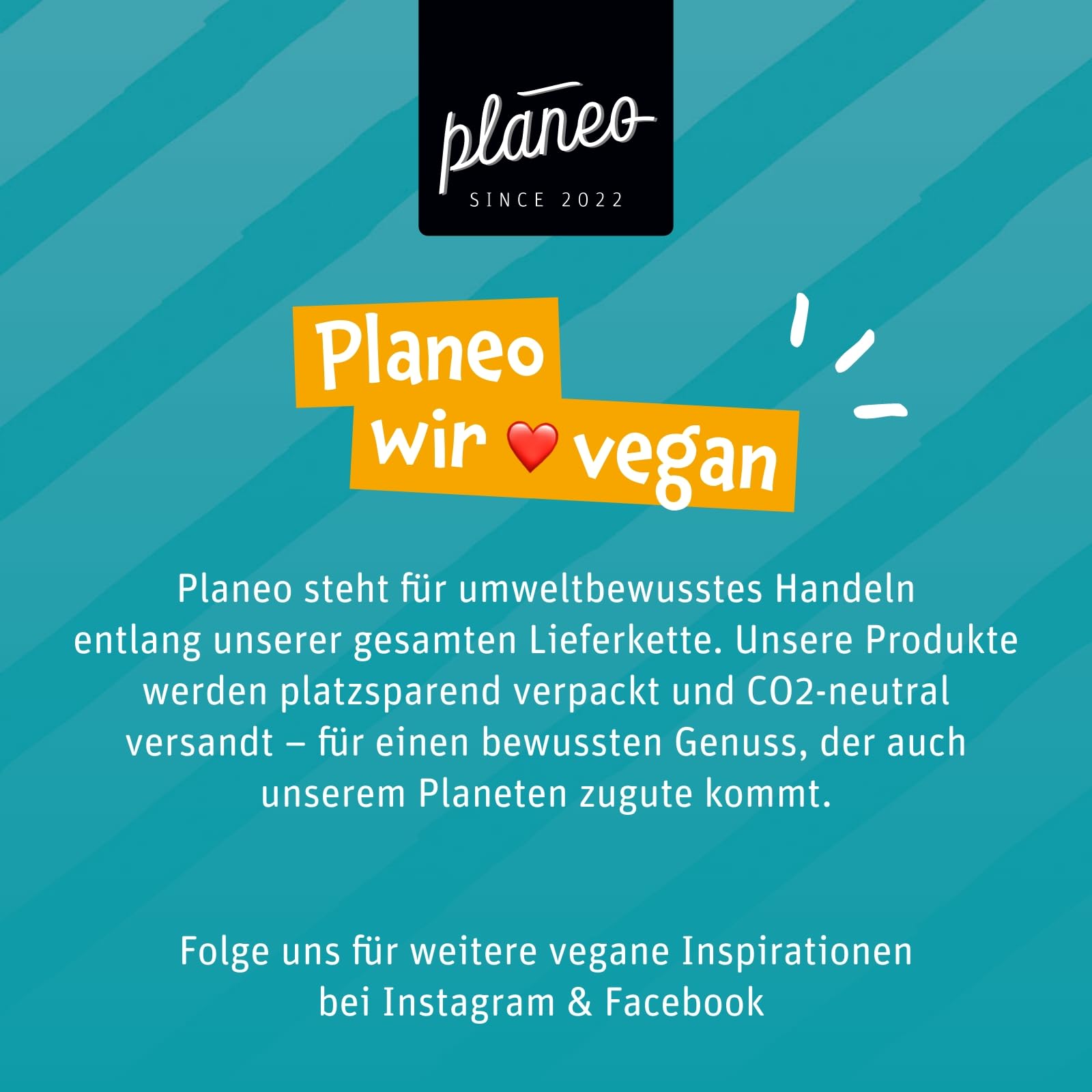 Planeo Seitan Classic 5kg - veganer Fleischersatz, proteinreich, produziert in Deutschland, vielseitig verwendbar, Weizengluten