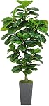 6FT Artificial Fiddle Leaf Fig Tree, Fake Tree Greenery Plant with Taper Planter, Artificial Plants Faux Tree for Decor Indoor Outdoor Home Office Living Room Floor Decoration (Champagne)