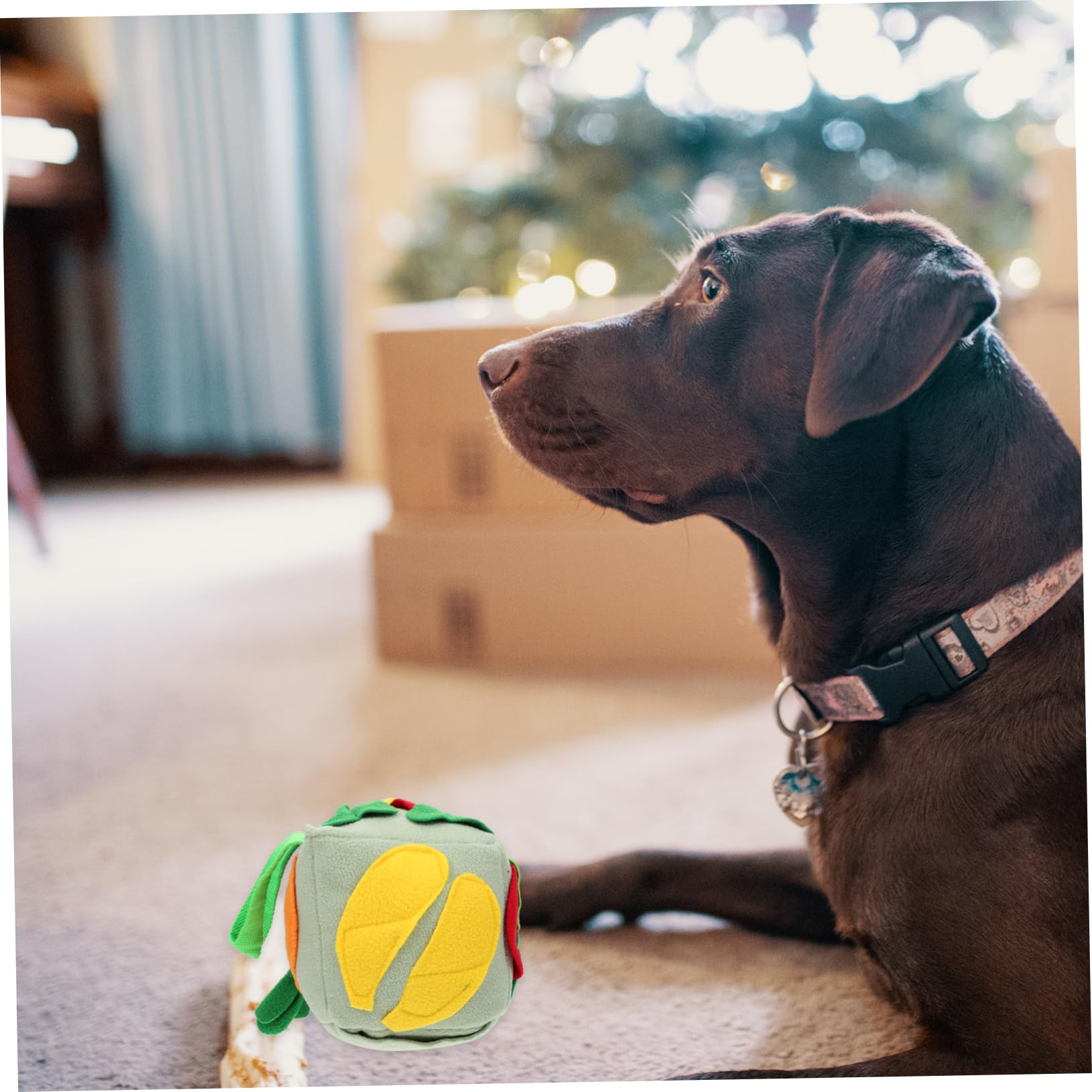 FOMIYES 2stücke Interaktiver Hundespielzeugball Kauspielzeug Für Langsames Füttern Schnüffelball Für Haustiere Fördert Training Und Spiel Sicheres Material