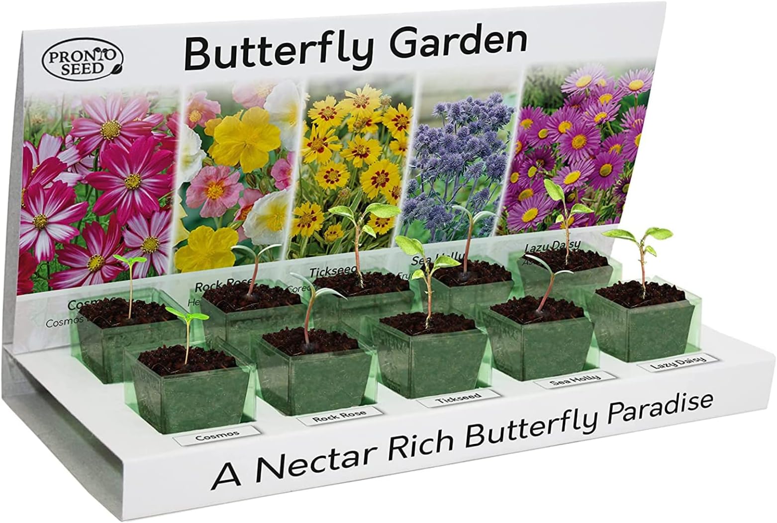 Pronto Seed Grow Your Own Flowers - Indoor Plant Kit - Eco-Friendly - 5 Seed Varieties - Easy to Grow - Gardening Pack - Gift for Teachers, Men & Women - Beginner Friendly