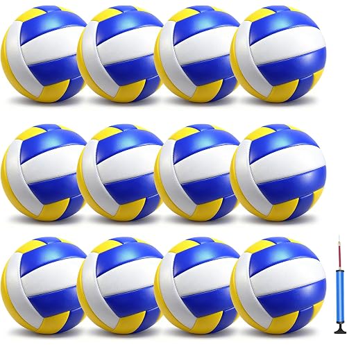jiaonun 12 Pack Regulation Size 5 Volleyballs for Women and Men, Outdoor or Indoor, with Pump