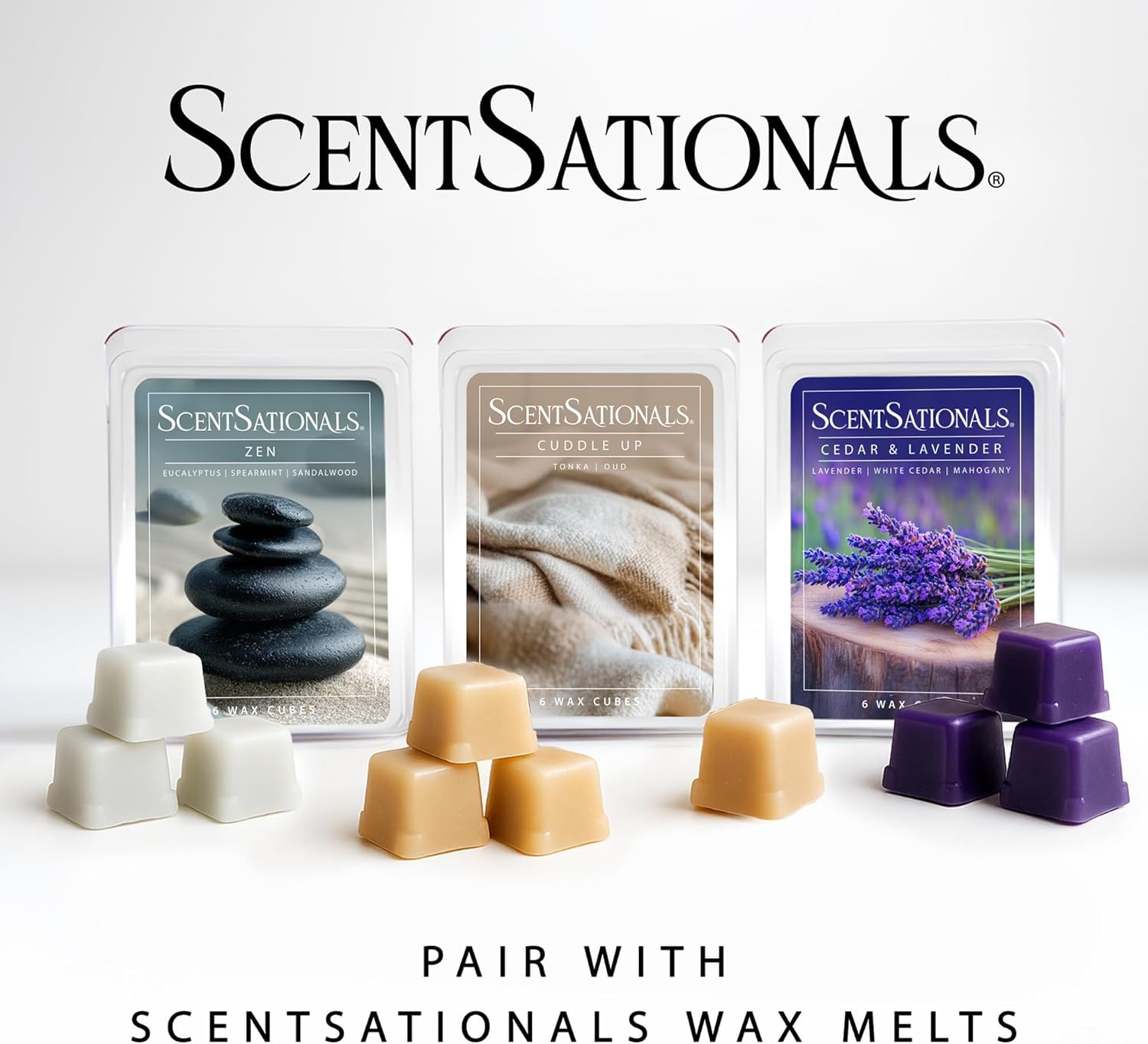 Scentsationals Calentador de cera para derretir cera perfumada, Wooded Dream, calentador de fragancia para cubos y tartas