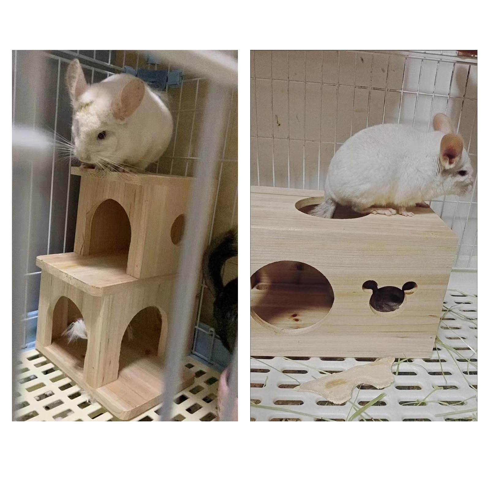 Amazon | CHIIRAKU チンチラハウス デグーハウス ペットハウス 木製
