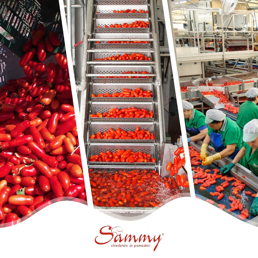 SAMMY - Pomodori San Marzano DOP, Pomodoro dell'Agro Nocerino Sarnese, 100% Filiera Italiana, Gusto Dolce e Intenso, 12 Pezzi in Latta da 400gr