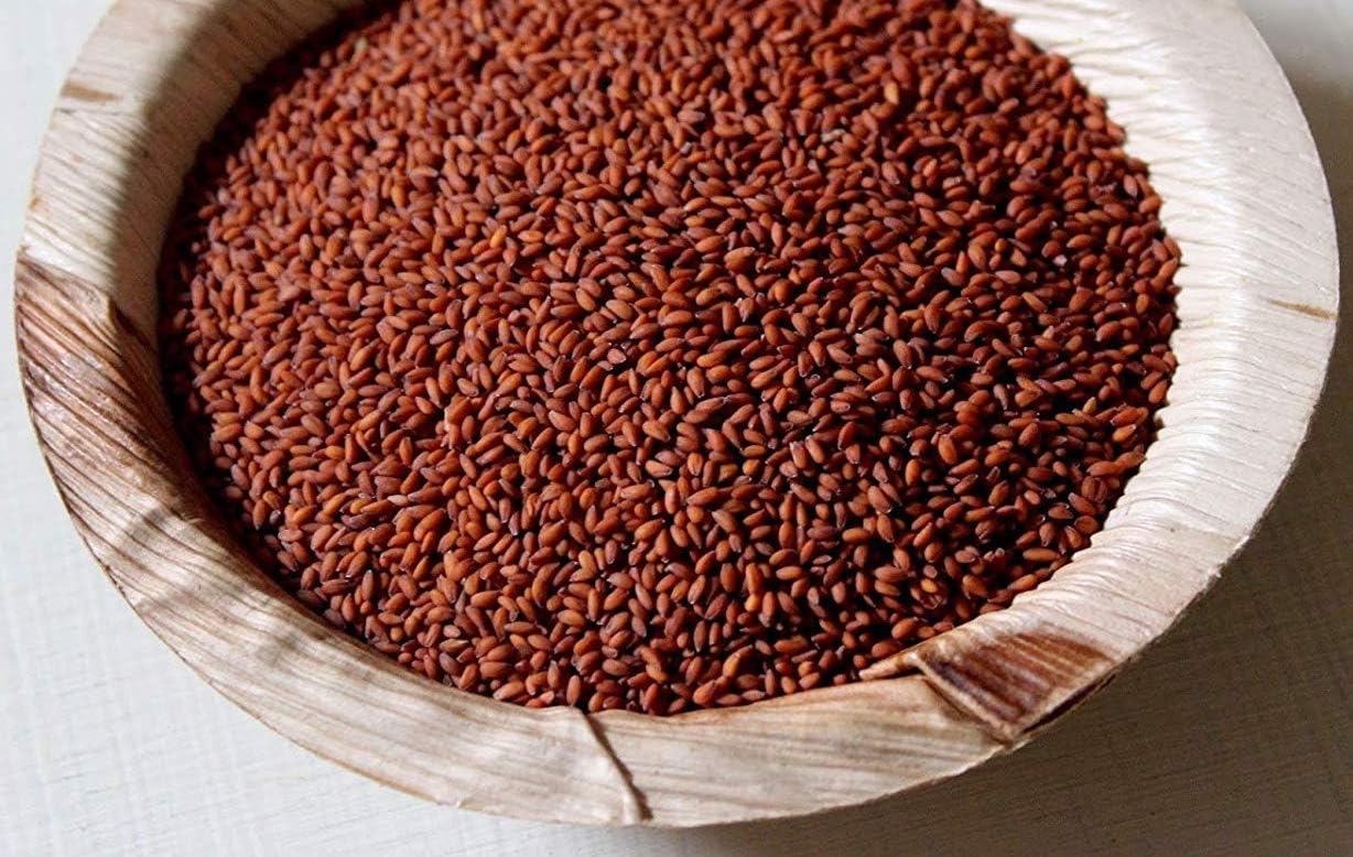 Nature’s Root Organic Cress Sprouting Seeds 1kg - Peppery Curly Cress for Sprouts & Microgreens, Brown - Image 3