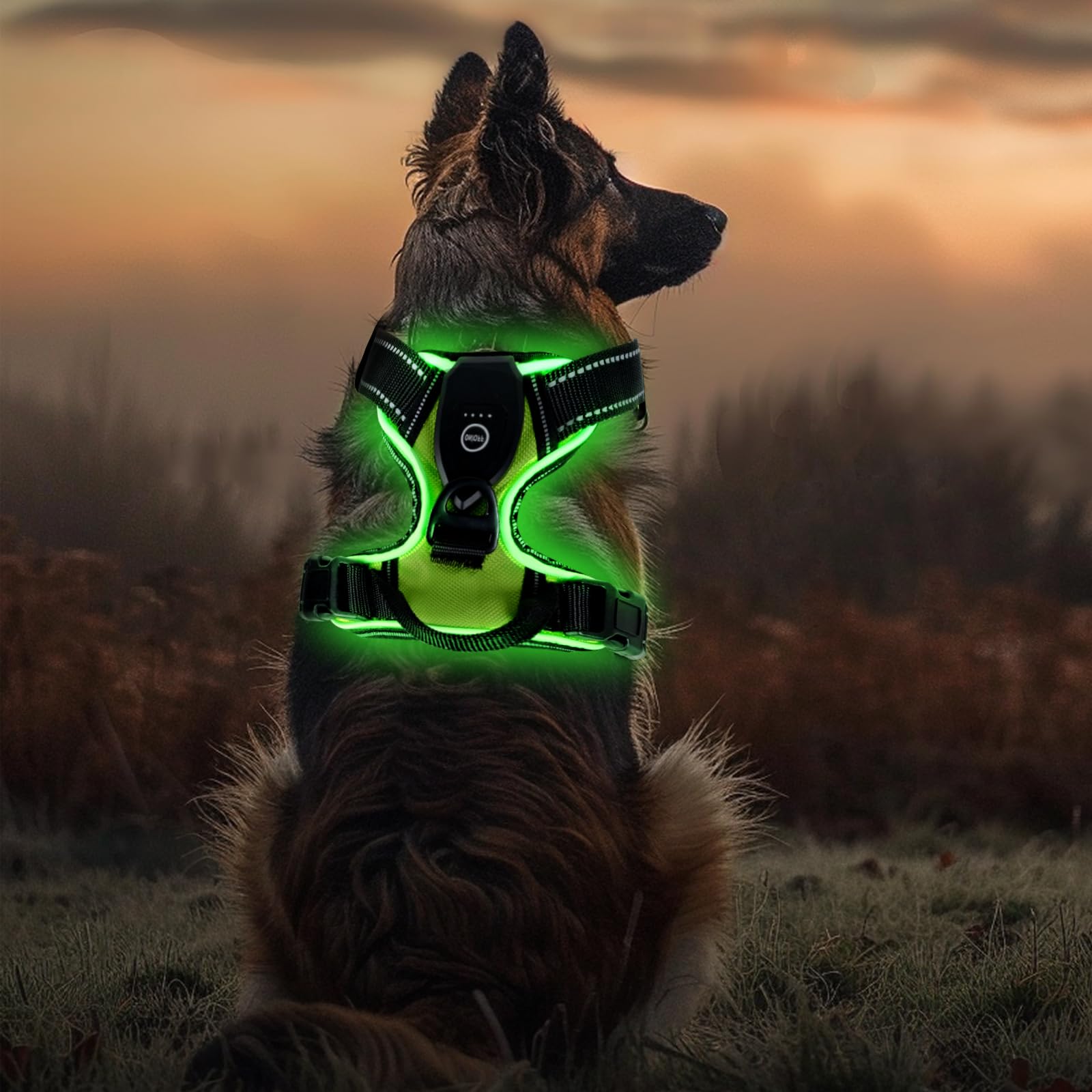 Pettorina LED Per Cani Regolabile - Illuminata E Riflettente Per Sicurezza Notturna - Foto 3