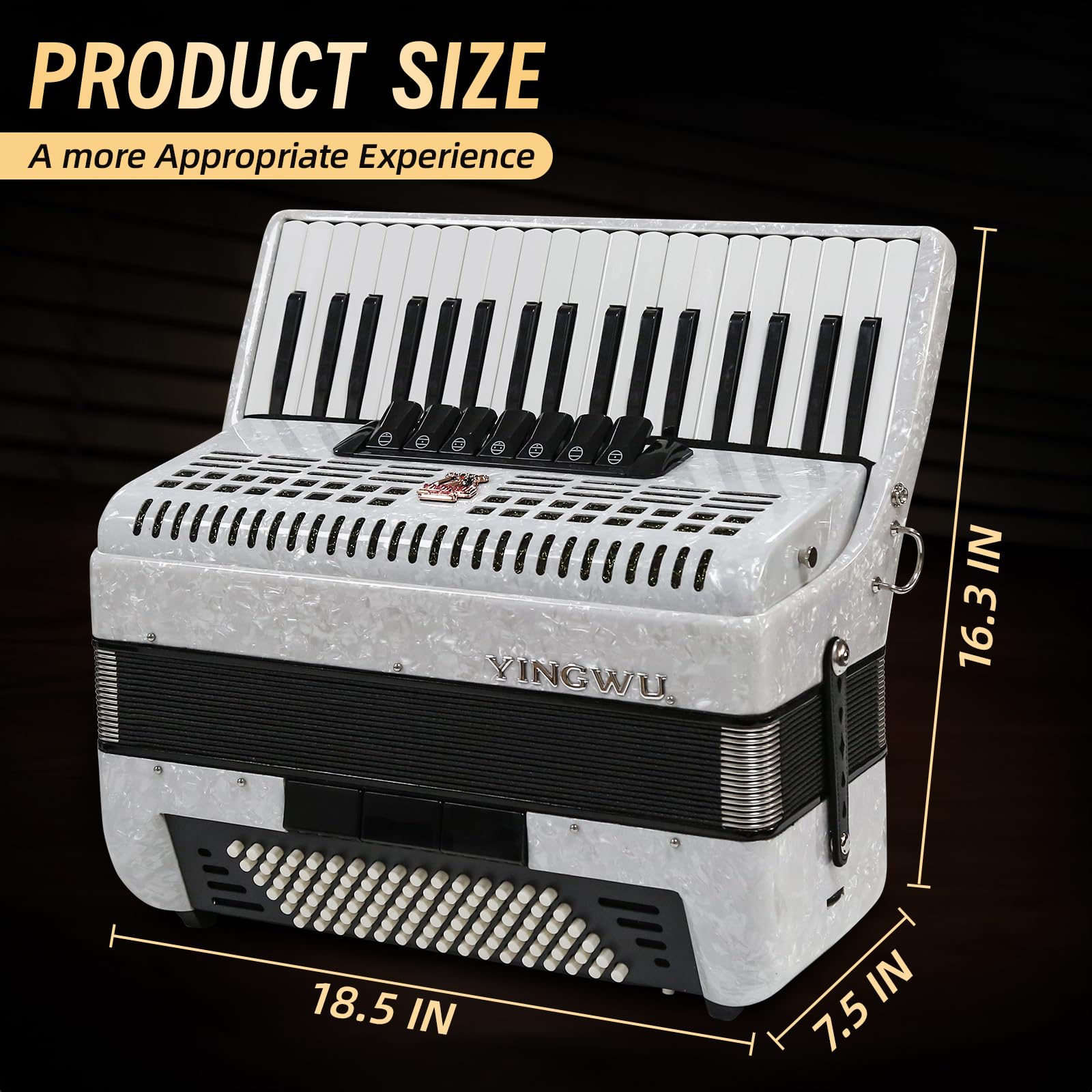 Amazon.com: Accordion,37 Key 96 Bass Professional Accordion for