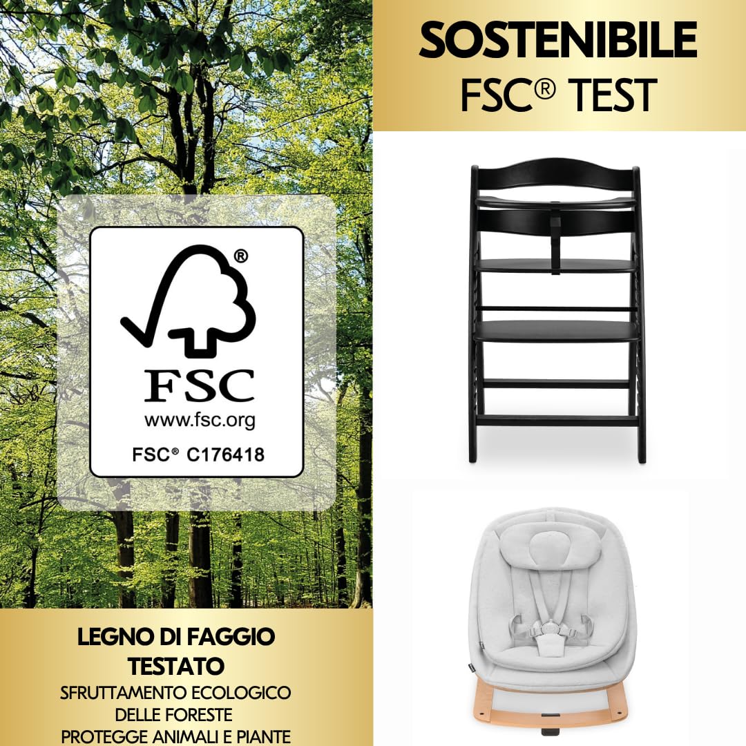 hauck Seggiolone Pappa Arketa Newborn Set Eco Bouncer – Seggiolone Evolutivo Legno Regolabile per Crescere insieme fin dalla Nascita, incluso Sdraietta Neonati e Cuscino (Faggio - Blackwashed)