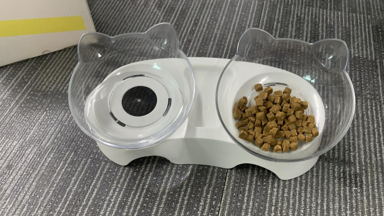 Amazon.com: MILIFUN Cat Bowls, Cat Food Bowls Elevated Tilted, Anti  Vomiting Kitty Bowl for Puppy and Bunny, Orthopedic for Indoor Cats. : Pet  Supplies