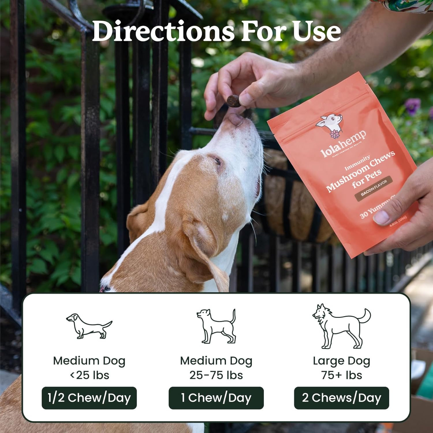 Lolahemp Mushroom Supplement for Dogs - Tasty Chews with Organic Mushroom Complex for Immune System & Cognitive Health - Turkey Tail, Reishi, Shiitake, Maitake & Lion's Mane