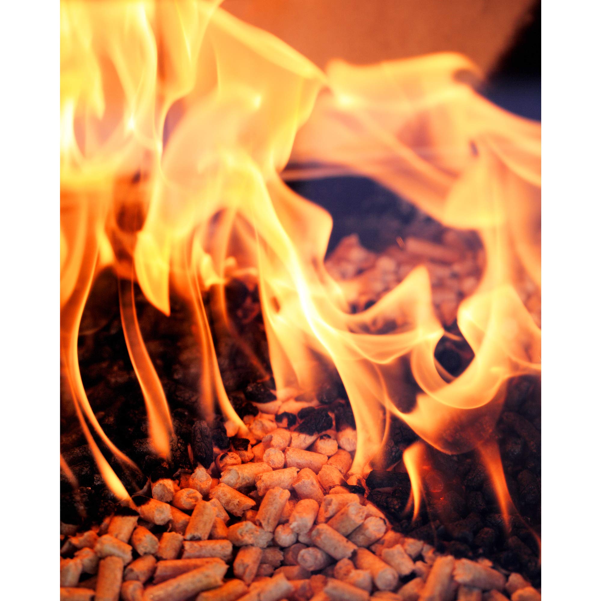Green Mountain Grills gmg-2004 Premium Texas Blend Pellets 28 LB Tasche