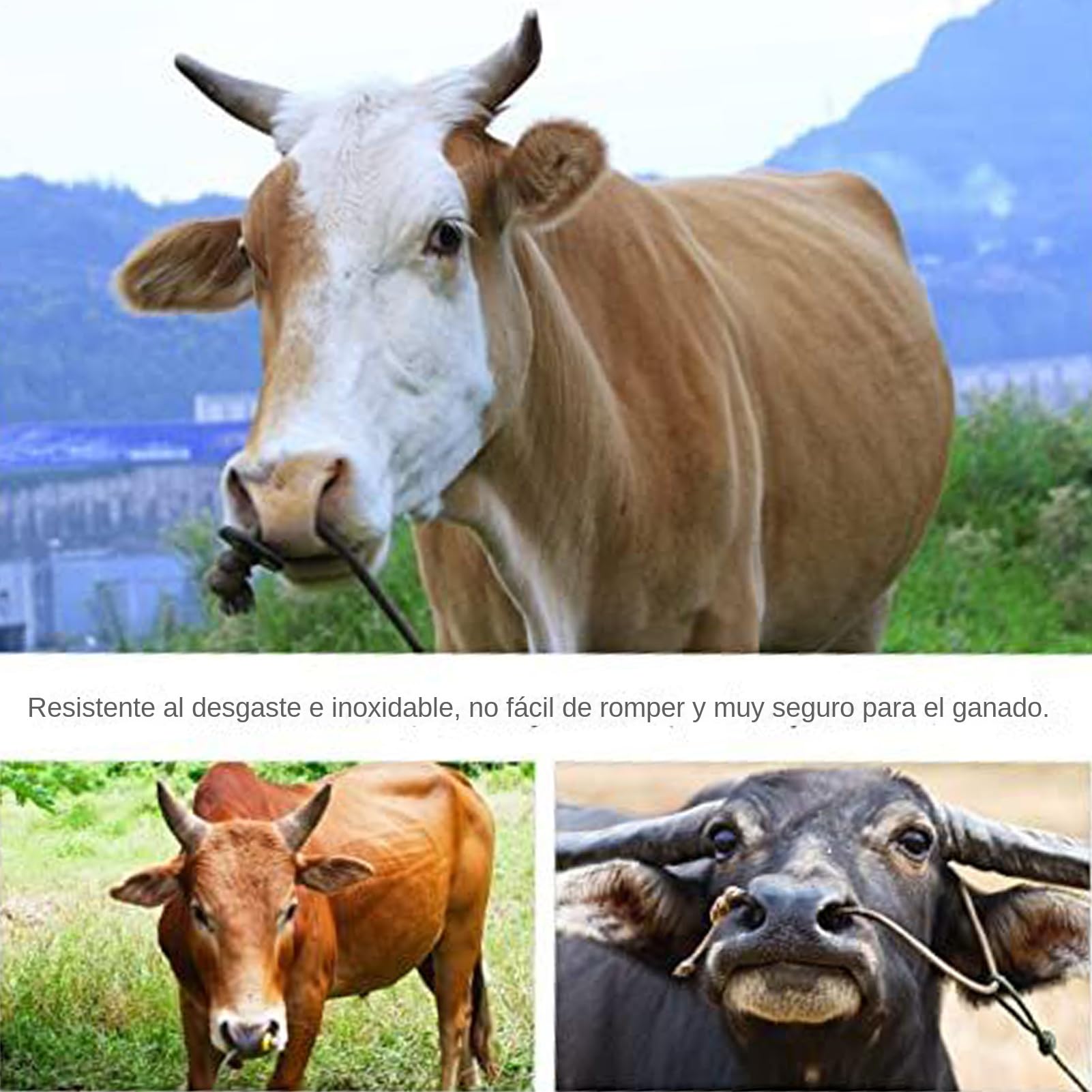 Pinze Tecniche a Naso Tondo per Bovini Attrezzature Zootecniche | Pinze Ergonomiche Per La Gestione Di Bovini E Bestiame In Aziende Agricole Maneggevoli