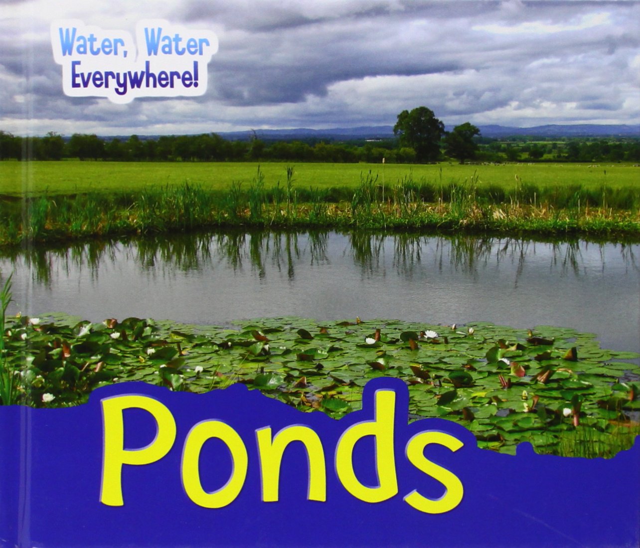 Ponds (Water, Water Everywhere!)