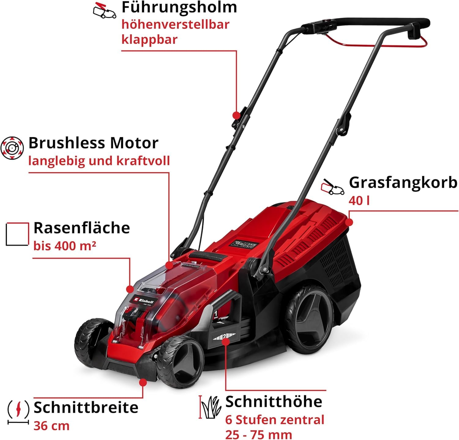 Einhell Akku-Rasenmäher GE-cm 36/36 Li Kit Power X-Change (36 V, 36 cm Schnittbreite, bis 400 m², Brushless, 40L Fangkorb, 25-75 mm Schnitthöhe, inkl. 2X 4,0 Ah Akku + 2X Ladegerät)