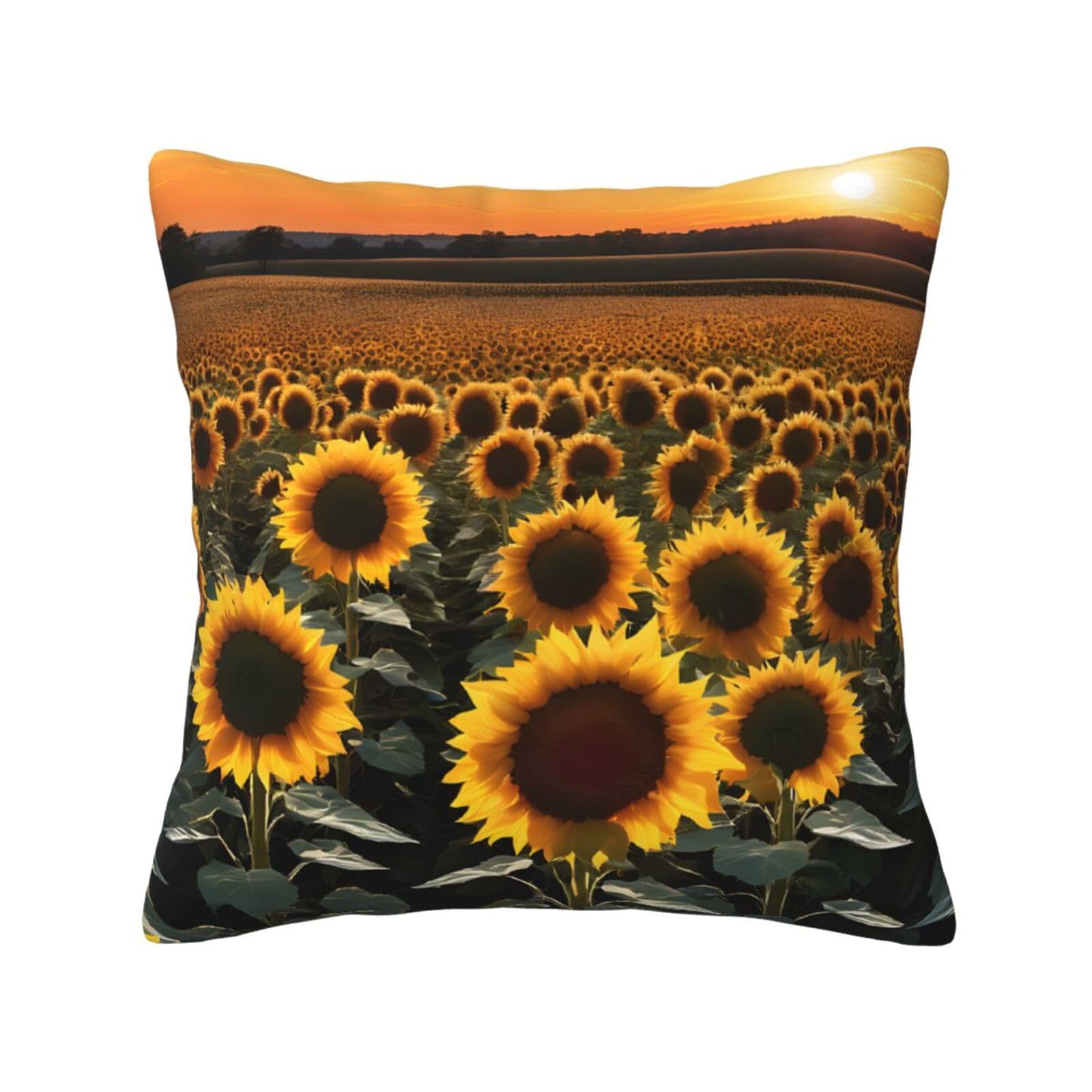 LHFIOHIRG (Farm Sunflowers) Decorative Throw Pillow Covers Double-Sided Printed Cushion Covers for Sofa, Couch, Bed, and Home Decor 30 x 30cm