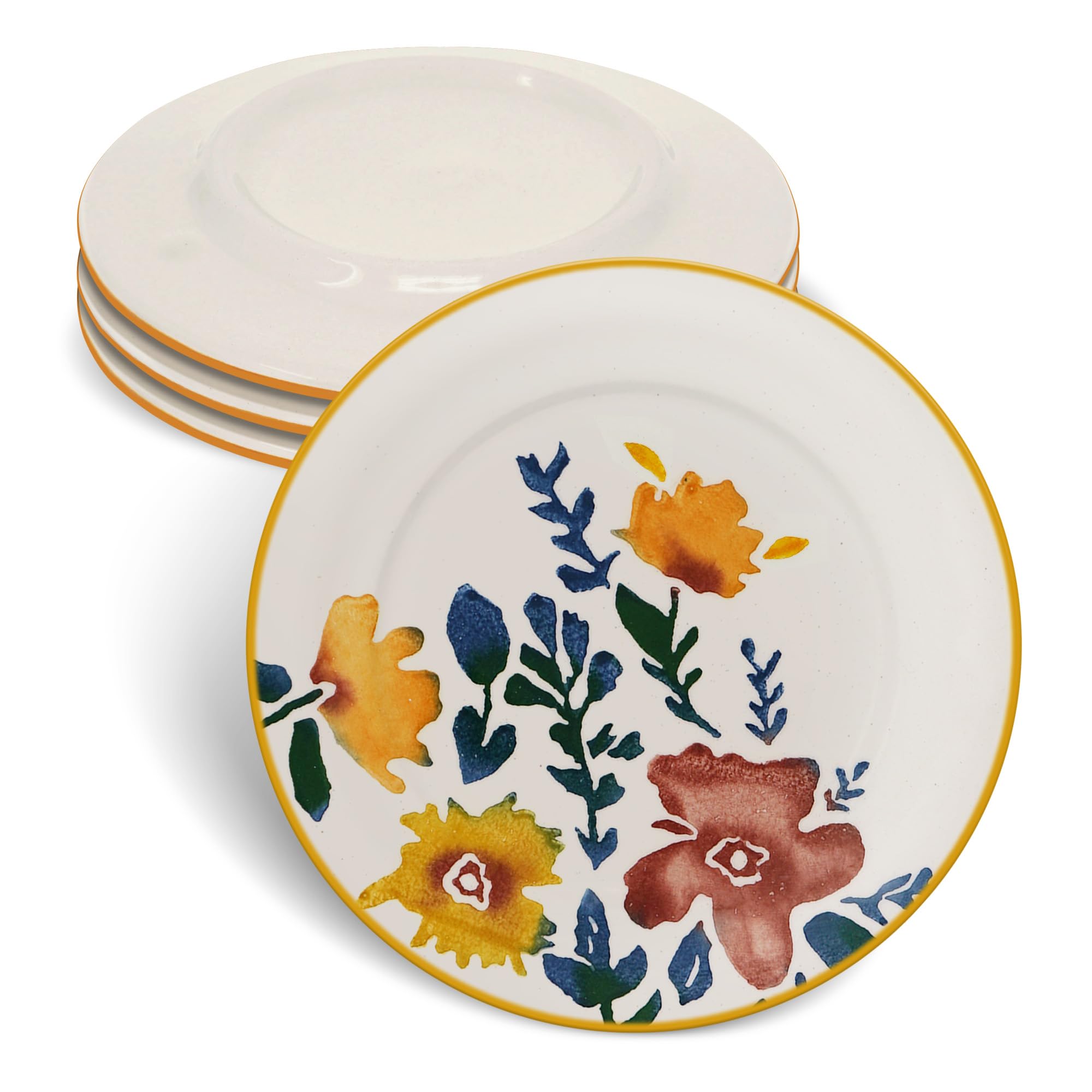 Assiettes Plates Multicolores – Table De Cuisine