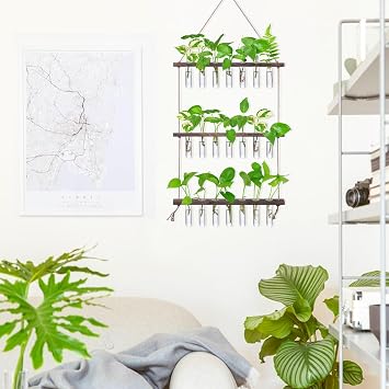 FLOWER Wall Hanging Propagation Station with 3 Tiered Wooden Stand 21 Test Tubes Plant Holder Hydroponic Plants Terrarium Plant Lover Gifts Indoor Garden Decor
