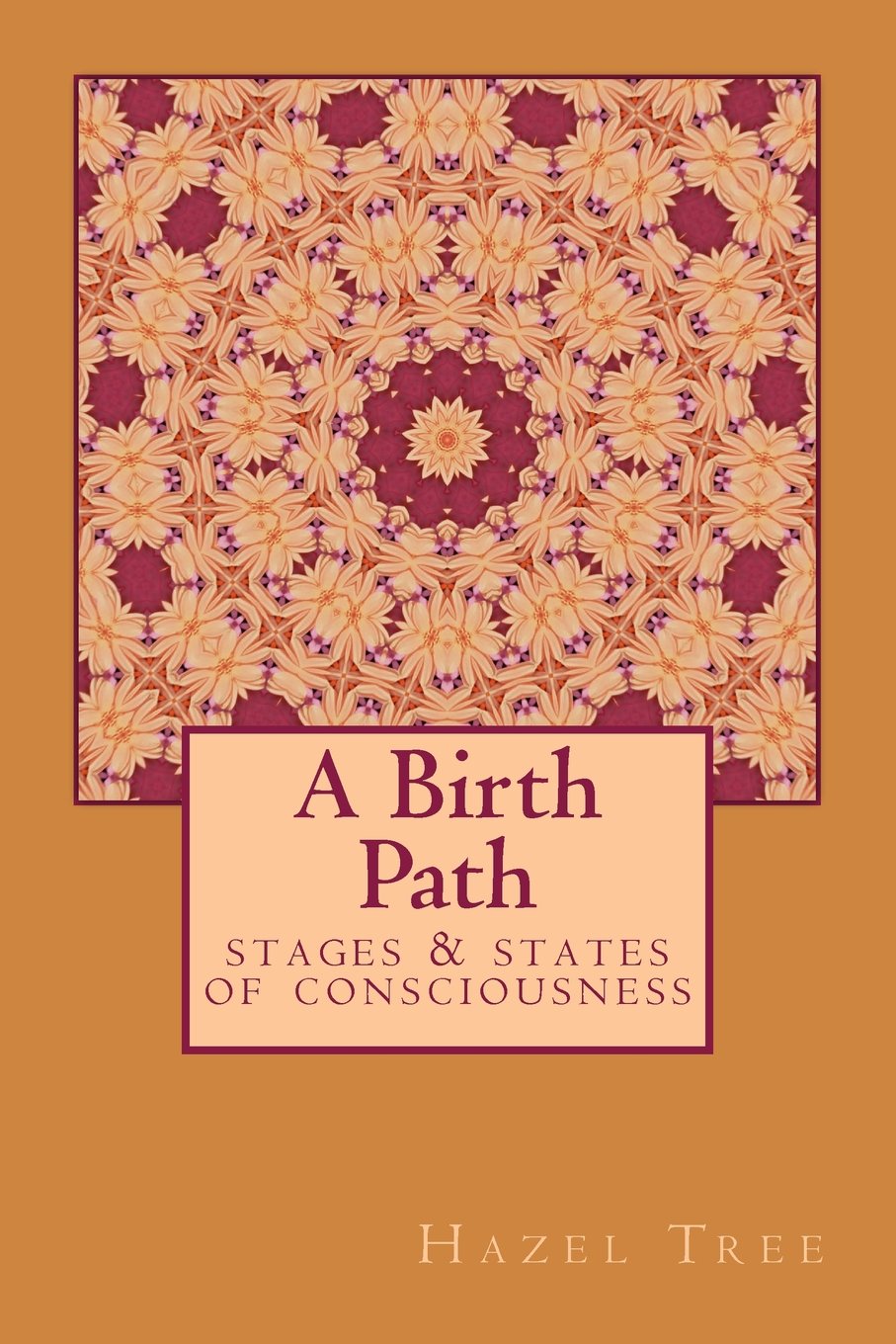 A Birth Path: stages & states of consciousness