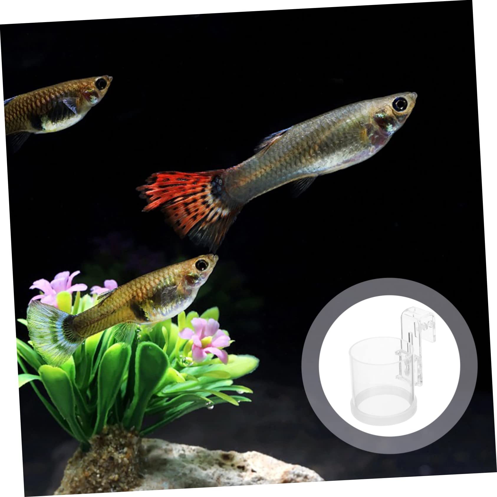 FOMIYES 4piezas Anillo De Alimentación Acrílico para Peces Acuario Comedero Flotante para Alimento Diseño para Evitar Desperdicio De Comida para Alimentar Peces Planktonicos y Flotantes
