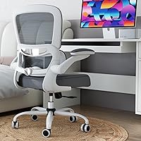 Vista 1 de Silla de oficina – Silla de escritorio ergonómica con soporte lumbar ajustable, silla de computadora de malla, silla ejecutiva para oficina en casa
