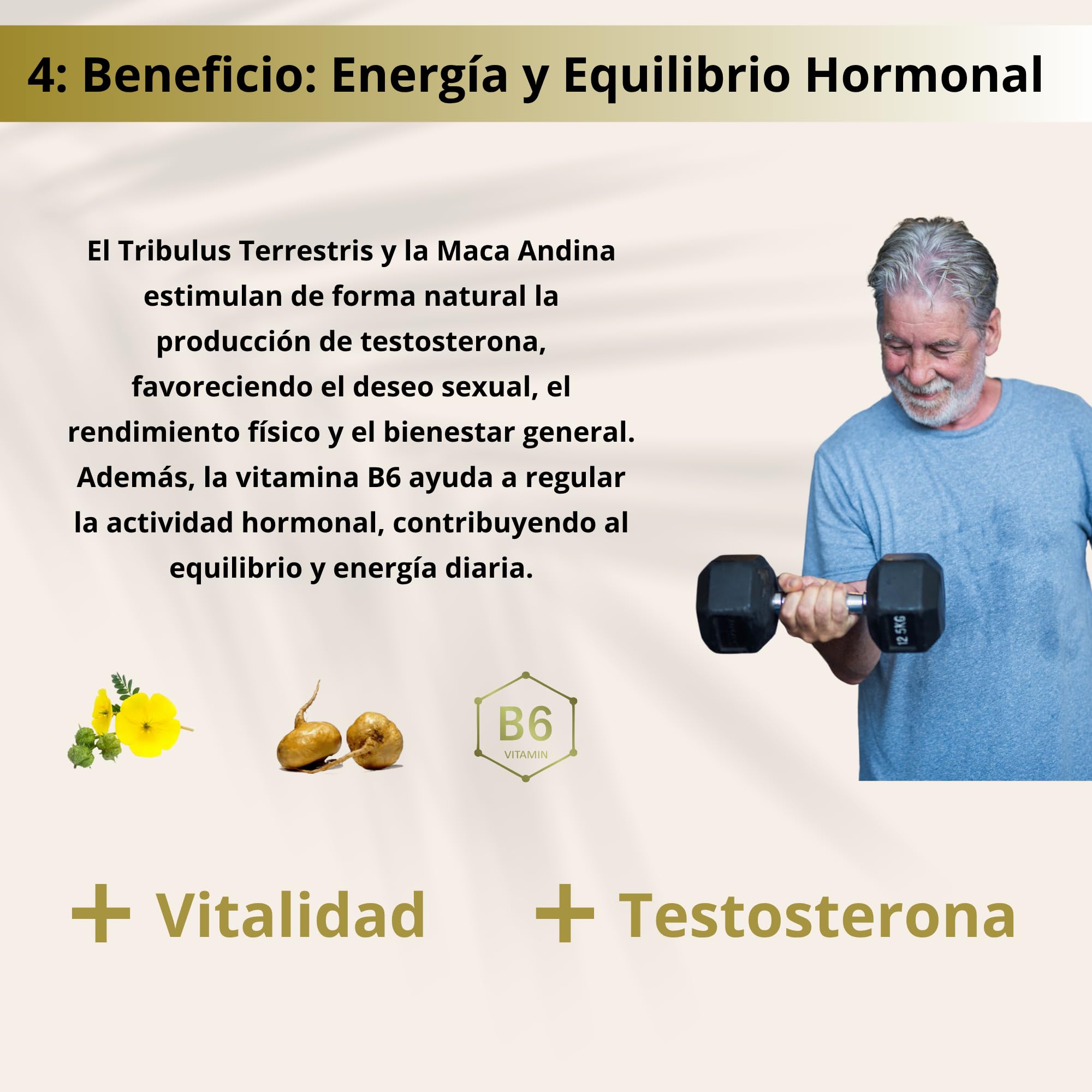 Saw Palmetto 10.500 Mg Próstata Inflamada con Serenoa Repens, Pygeum Africanum, Q10, Maca y Tribulus – Tratamiento Natural - 60 Cápsulas Vegetales para Control Urinario + Antioxidantes – Prostento