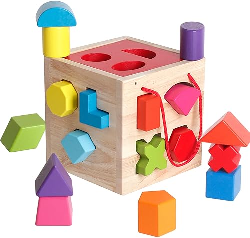BESTAMTOY Juguete clasificador de formas My First Wooden 12 Bloques de construcción Geometría Aprendizaje a juego Sorting Regalos Didácticos
