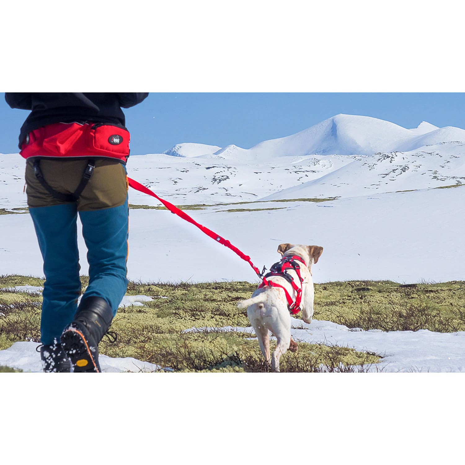 Canicross/Canirando Comfort Trek, Guinzaglio, colore: rosso