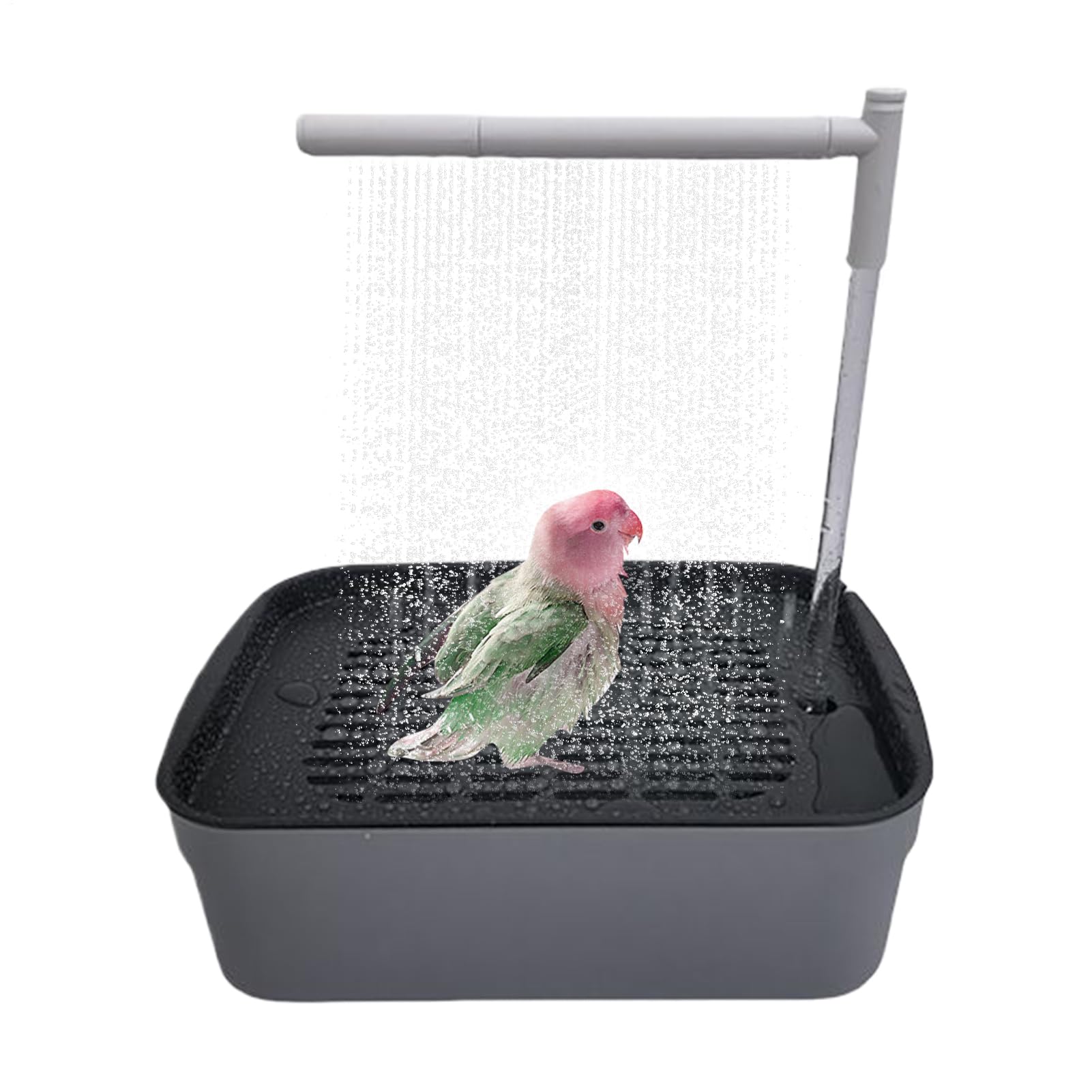 Bañera automática para pájaros Genérico con circulación de agua, Ducha para periquitos, bañera para Loros con Ducha, Accesorios para jaulas de pájaros