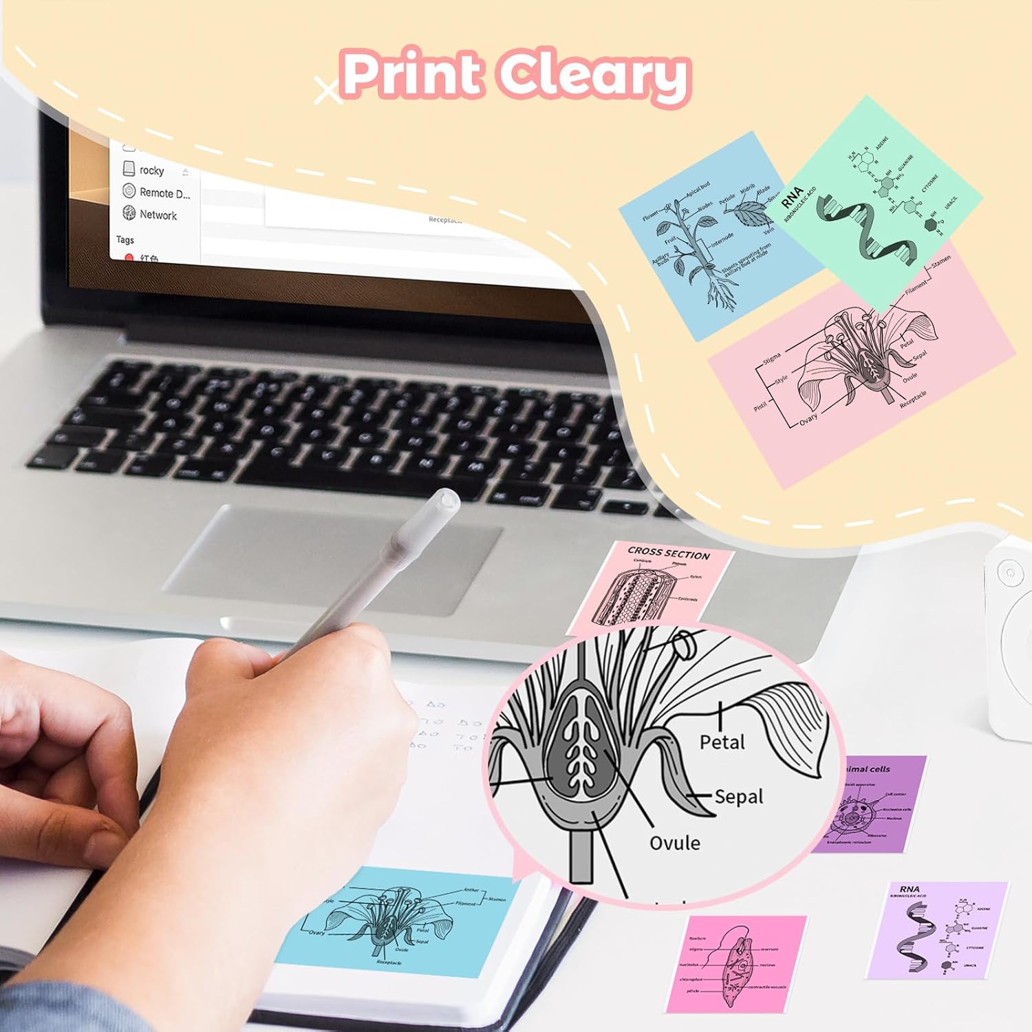 10 Rolls Self-Adhesive Multicolor Mini Printer Thermal Sticker Paper 53 x 28mm, 3 Rolls White and 7 Rolls color Printer Paper Compatible With Mini Thermal Printer Study Notes Journal Photos - Image 6