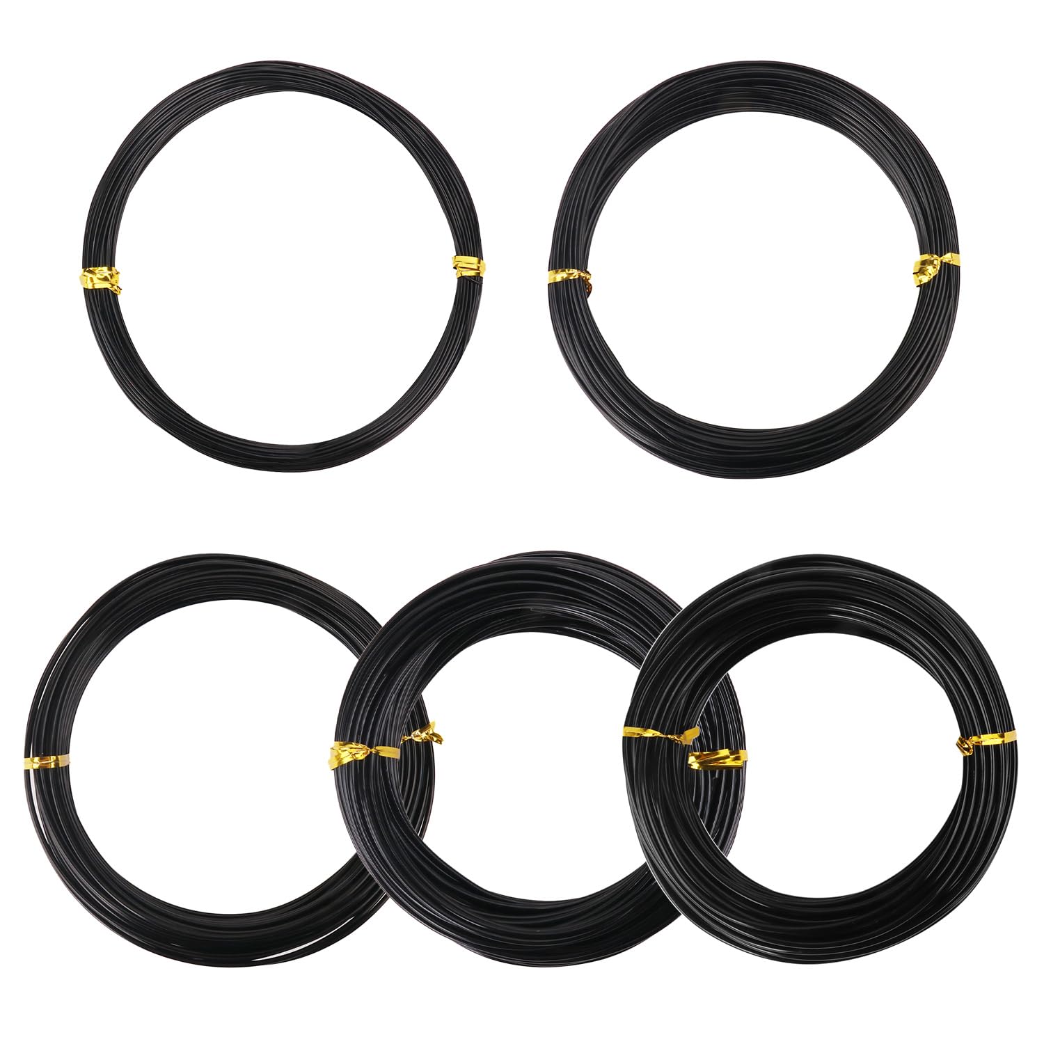 5 Roll Anodized Aluminum Bonsai Training Wire Kit with Bag, Black Bonsai Training Wire, Plant Wire Kit for Bonsai Artists & Beginners by Biugaaufai (1.0mm, 1.5mm, 2.0mm, 2.5mm, 3.0mm,5-Size 328 Feet)