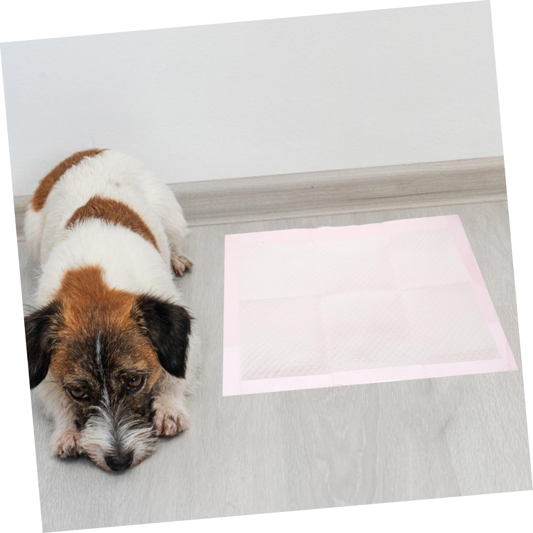 Toyvian 100piezas Tapete De Entrenamiento para Mascotas Empapadores Desechables para Perros Empapadores para Cachorros Pequeños Casa para Entrenamiento De Mascotas para Orinales