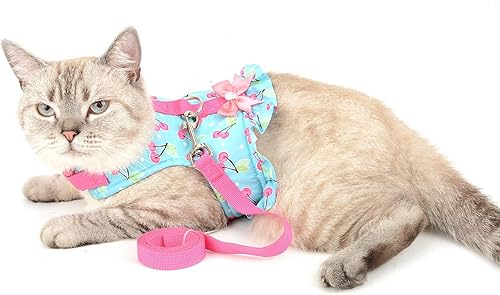 Miniatura 2 de SMALLLEE_LUCKY_STORE Arnés con estampado de cereza, para gatos y perros pequeños, con correa para niñas, ajustable, sin tirones, a prueba de