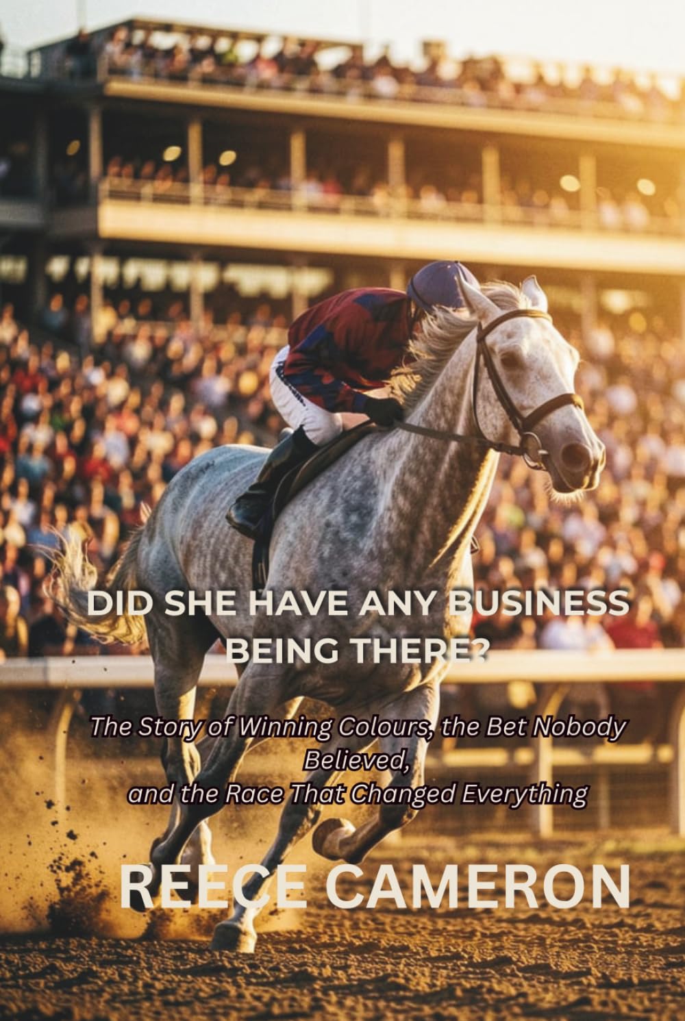 DID SHE HAVE ANY BUSINESS BEING THERE?: The Story of Winning Colours, the Bet Nobody Believed, and the Race That Changed Everything