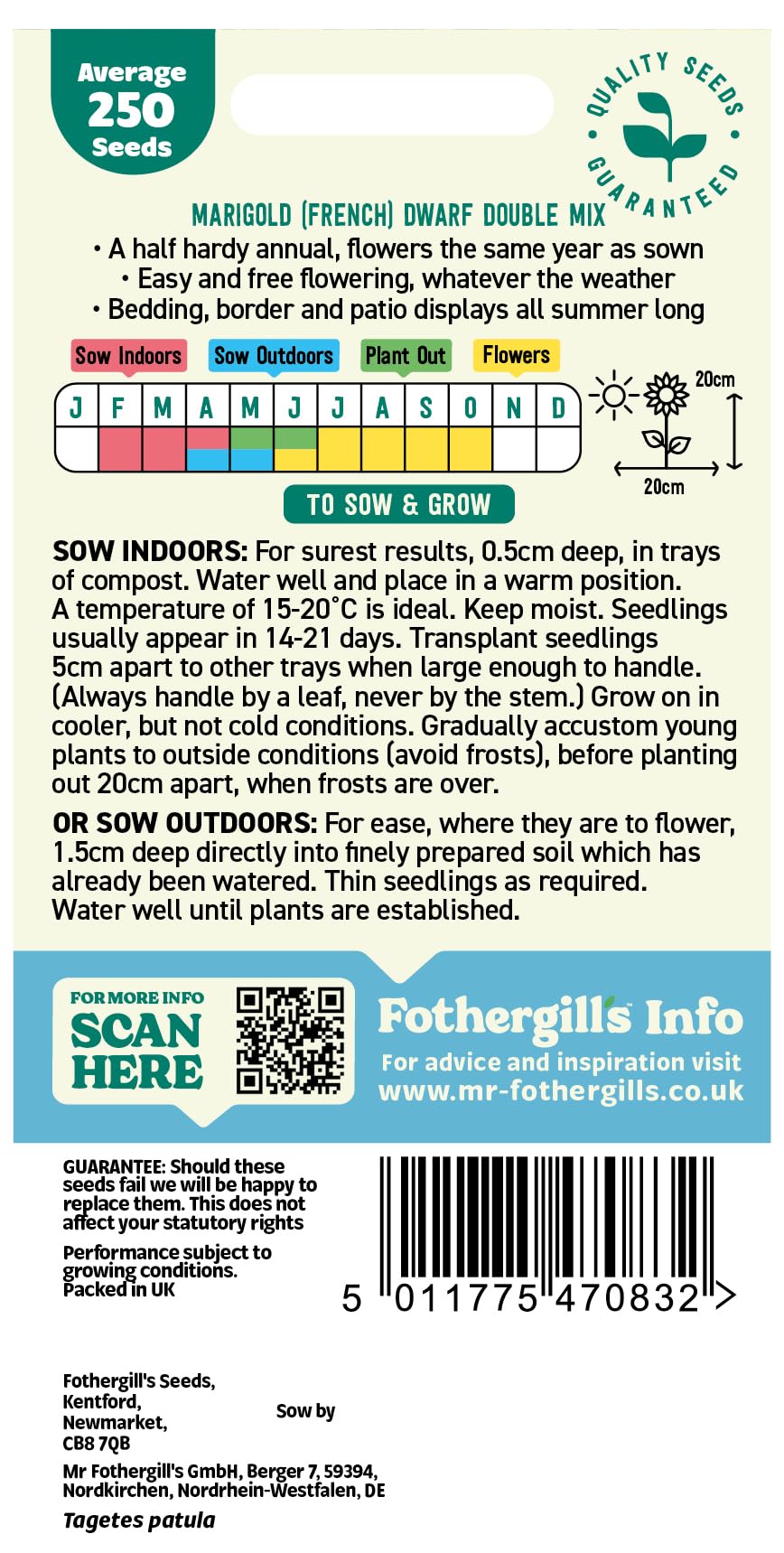 Fothergill's Marigold (French) Dwarf Double Mixed Flower Seeds, 250 Seeds, Sow: Feb-May, Orange/Yellow - 2