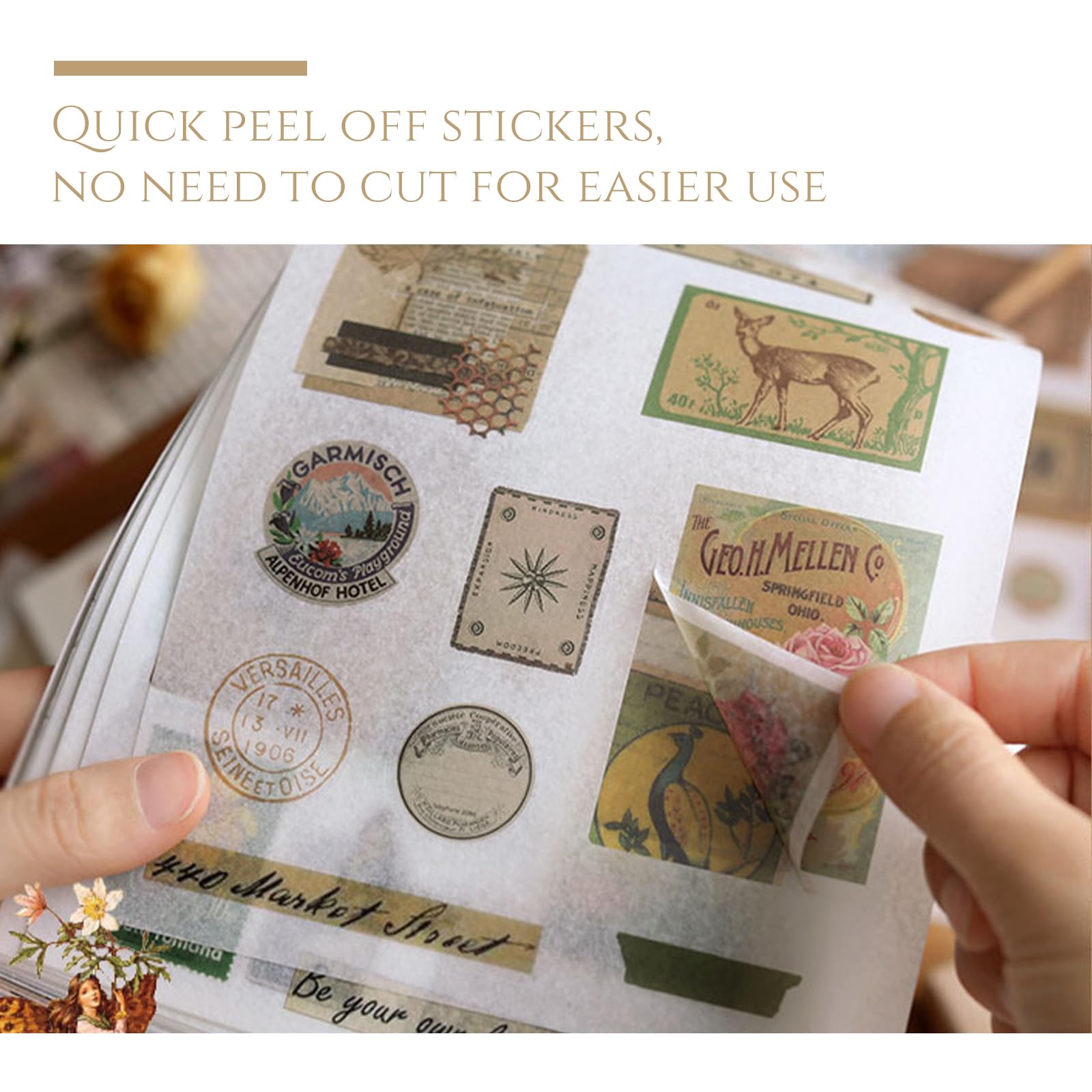 CMBPNNGS 411 Pezzi Vintage Scrapbook Accessory Set con 30 Fogli di Adesivi e 20 Fogli di Carta per Bullet Junk Journal Scrapbook Journaling, Sentimenti