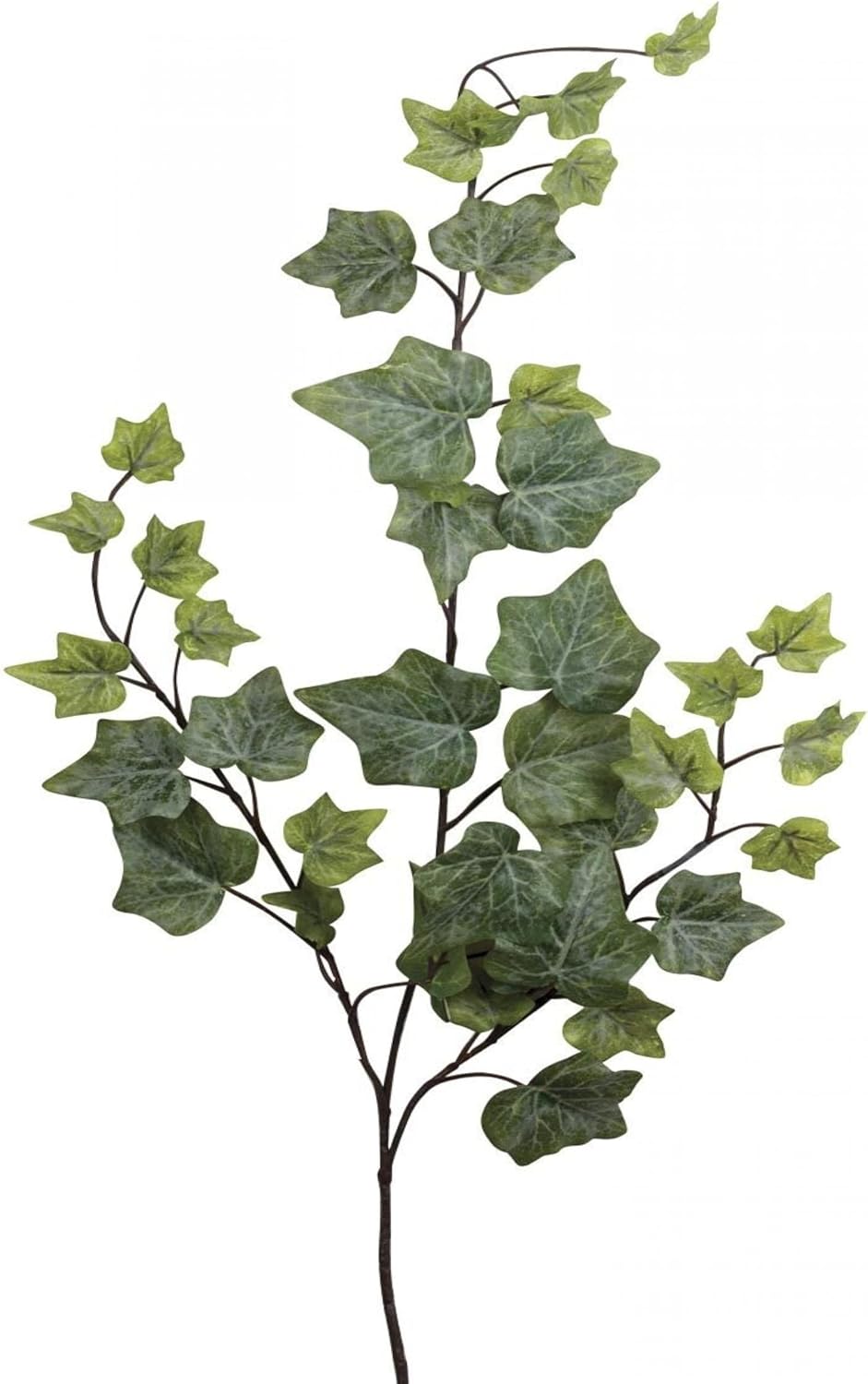 Set of 2 Ivy- Holland Spray Faux Plants and Trees