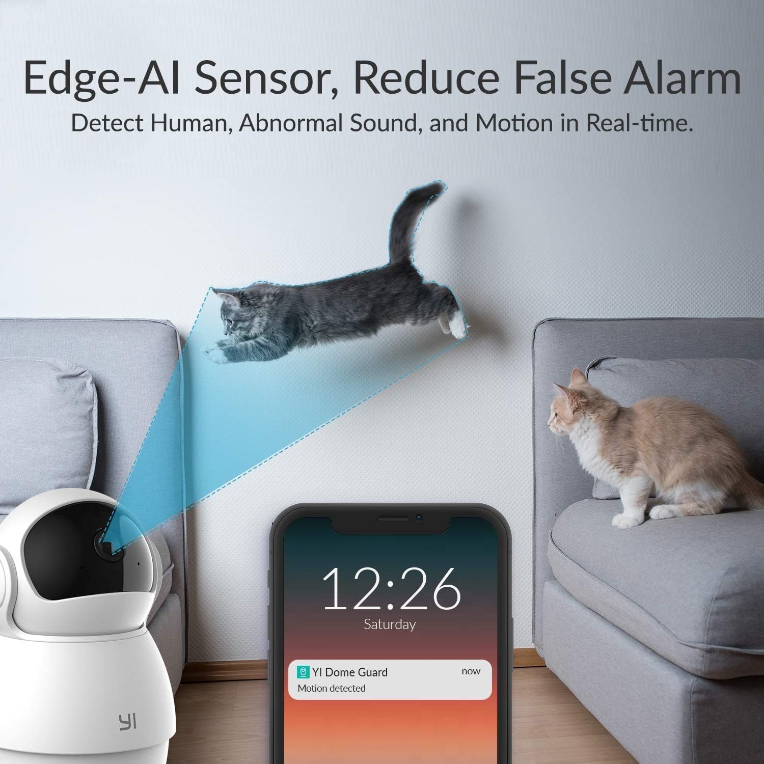 YI Pet Camera Dog Camera with Phone App Pet Dog Cat Puppy Cam Monitor Two Way Audio and Video, Pan/Tilt/Zoom, WiFi, Night Vision, Sound Motion Detection, Compatible with Alexa and Google 2pc