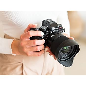 Panasonic S-S18 stałoogniskowy obiektyw szerokokątny (18mm