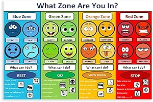 Zones of Regulation Management Curriculum