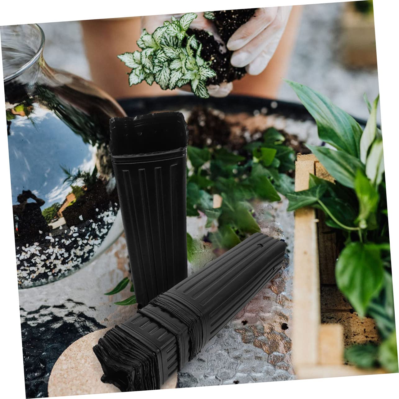 POPETPOP Pots de Pépinière Profonds en Polypropylène Noir 10x30 Cm pour Semis D’Agrumes et Légumes Jardin Intérieur Lot de 60 Pièces Perméabilité à L’Eau