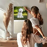 Vista 1337 de Razas de Perros 2017