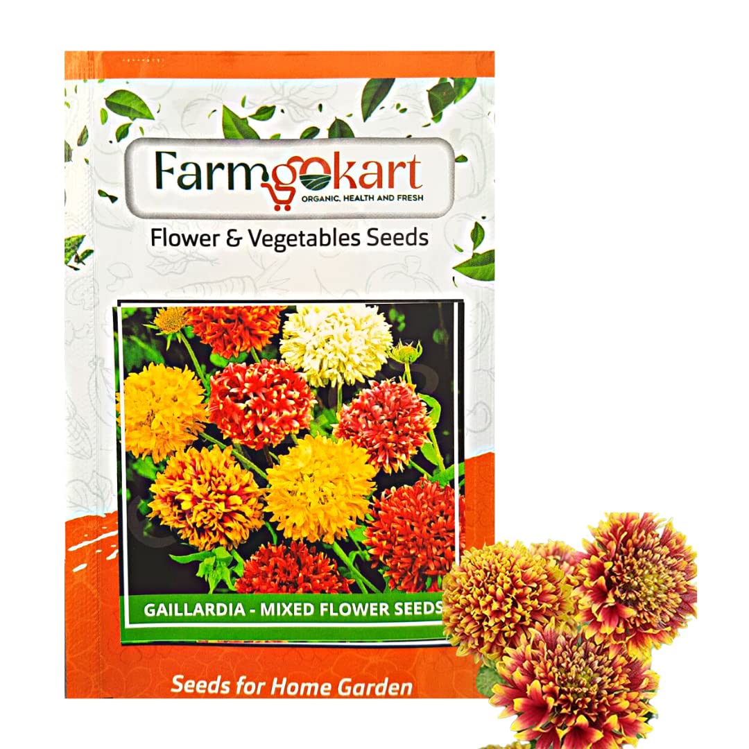 PACK OF 10 GMS (2500 SEEDS) OF GAILLARDIA - FLOWER SEEDS | GROWER/NURSERY PACK FOR HOME AND PROFESSIONAL GARDENING | (B0BX6JL83N) Amazon Price History, Amazon Price Tracker