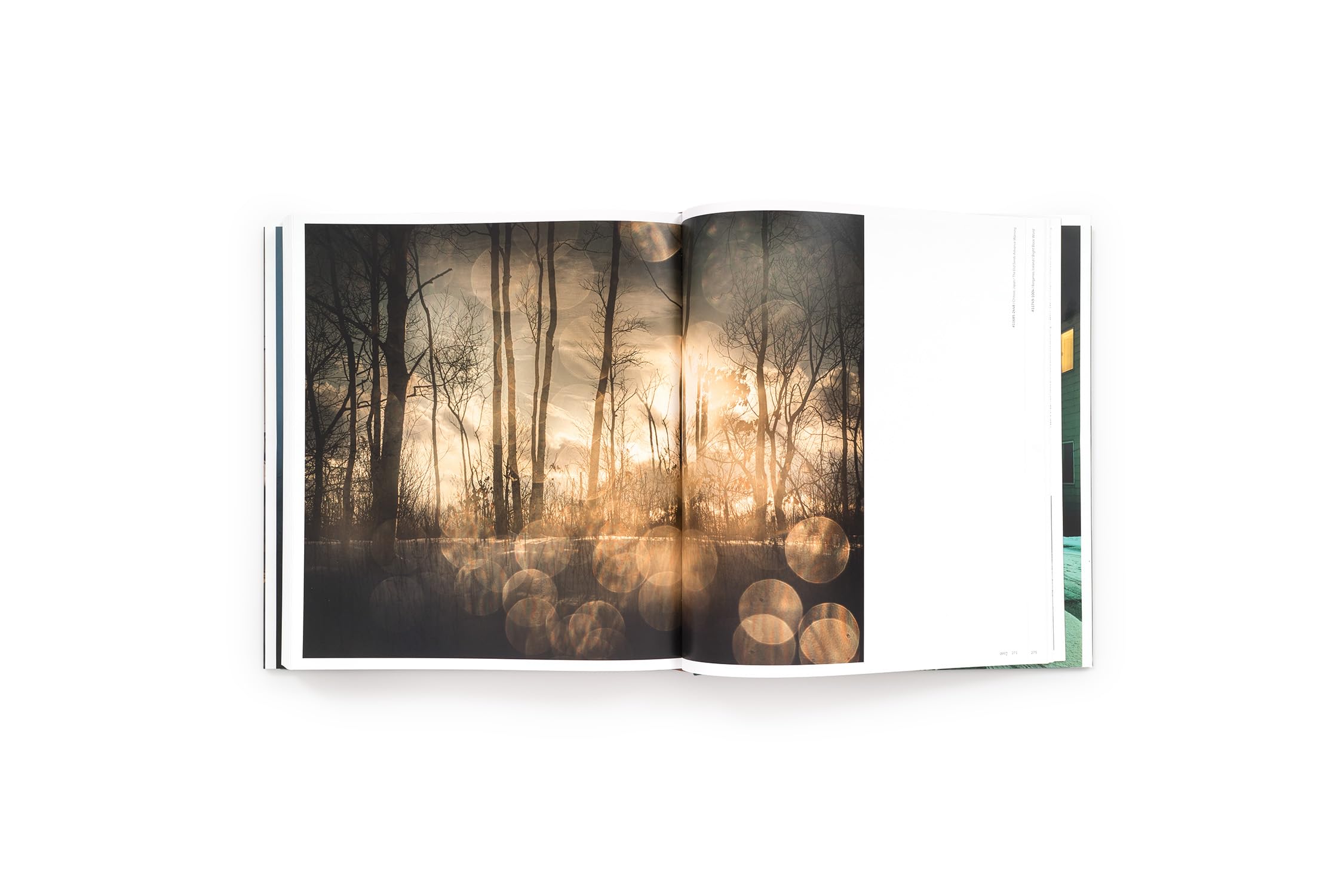 Todd Hido Intimate Distance (new edition) /anglais: Intimate Distance (Revised and Expanded Edition) : Over Thirty Years of Photographs, A Chronological Album