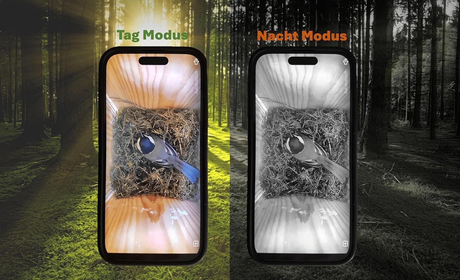 Nido di alta qualità con fotocamera, Live Stream, in legno massiccio certificato PEFC®, casetta per uccelli, 3 m + cavo di alimentazione da 20 m, idea regalo per il giardino