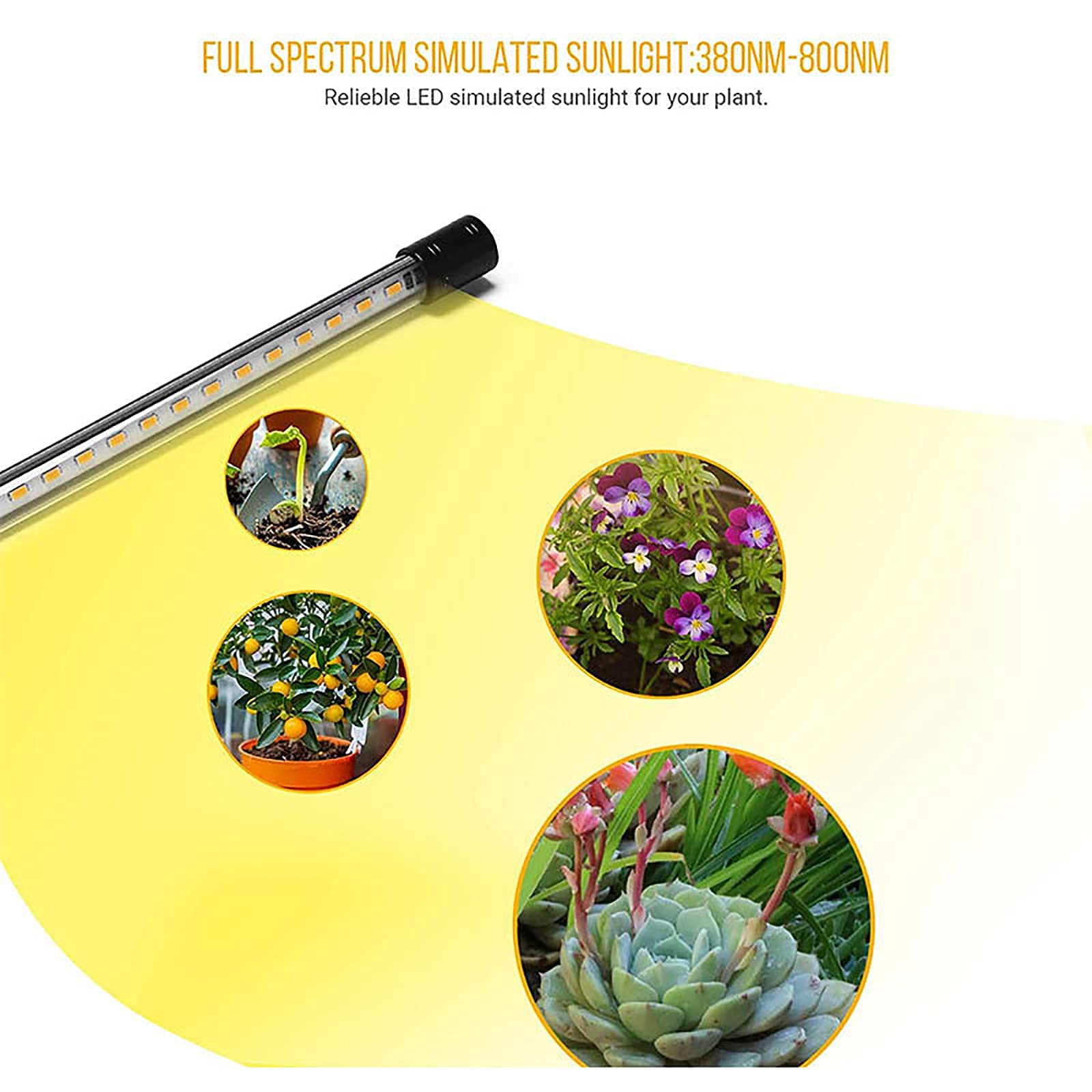 Lampe de croissance à 80 LED à spectre complet avec col de cygne réglable, luminosité à intensité variable, minuterie pour jardinage en intérieur, semis, plantes grasses