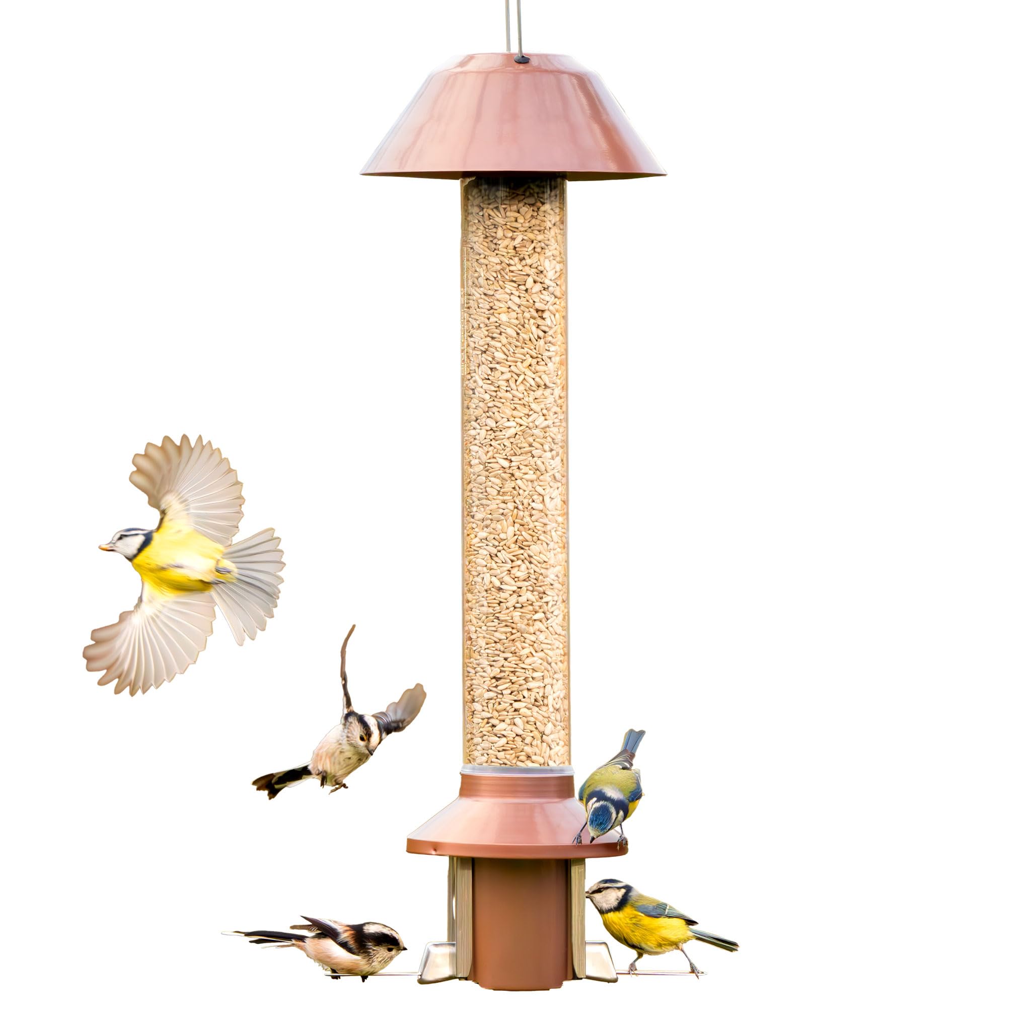 Squirrel Proof Wild Bird Feeder 2.0 COPPER - Roamwild PestOff - Antique Copper Finish (Mixed Seed/Sunflower Heart Feeder)