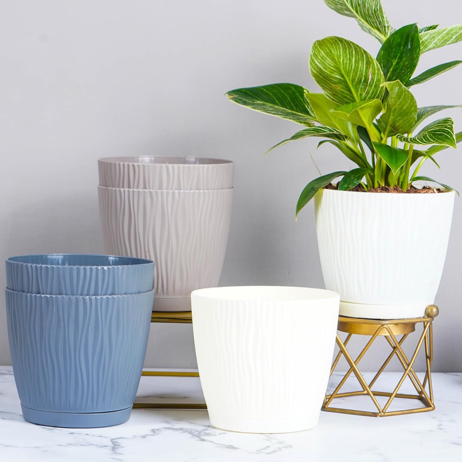 Diwali sale Nurturing Inexperienced® Set of 6 Self Watering Flower Pots for Dwelling Decor | Planters for Dwelling Decor Indoor & Outside | Flower Pots for Backyard (Coloration: Assorted, Dimension:14cm x 12.5cm Every) Diwali sale Nurturing Inexperienced® Set of 6 Self Watering Flower Pots for Dwelling Decor | Planters for Dwelling Decor Indoor & Outside | Flower Pots for Backyard (Coloration: Assorted, Dimension:14cm x 12.5cm Every)