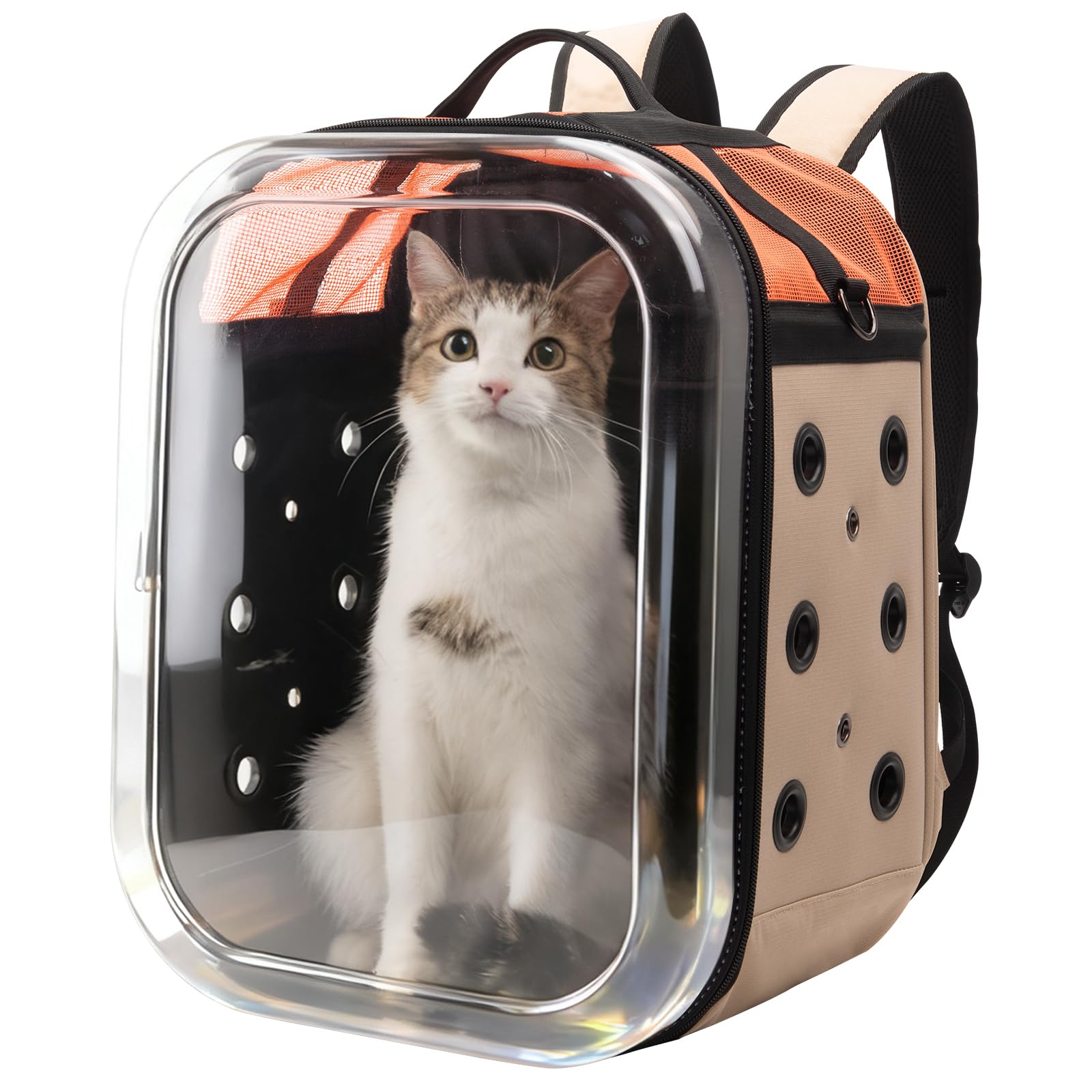 Hp hope Katzenrucksack Bubble Haustier Rucksack, Tragbare und Faltbare Katzentasche, Atmungsaktive und Leichte Hundetasche für Hunde Katzen Haustiere