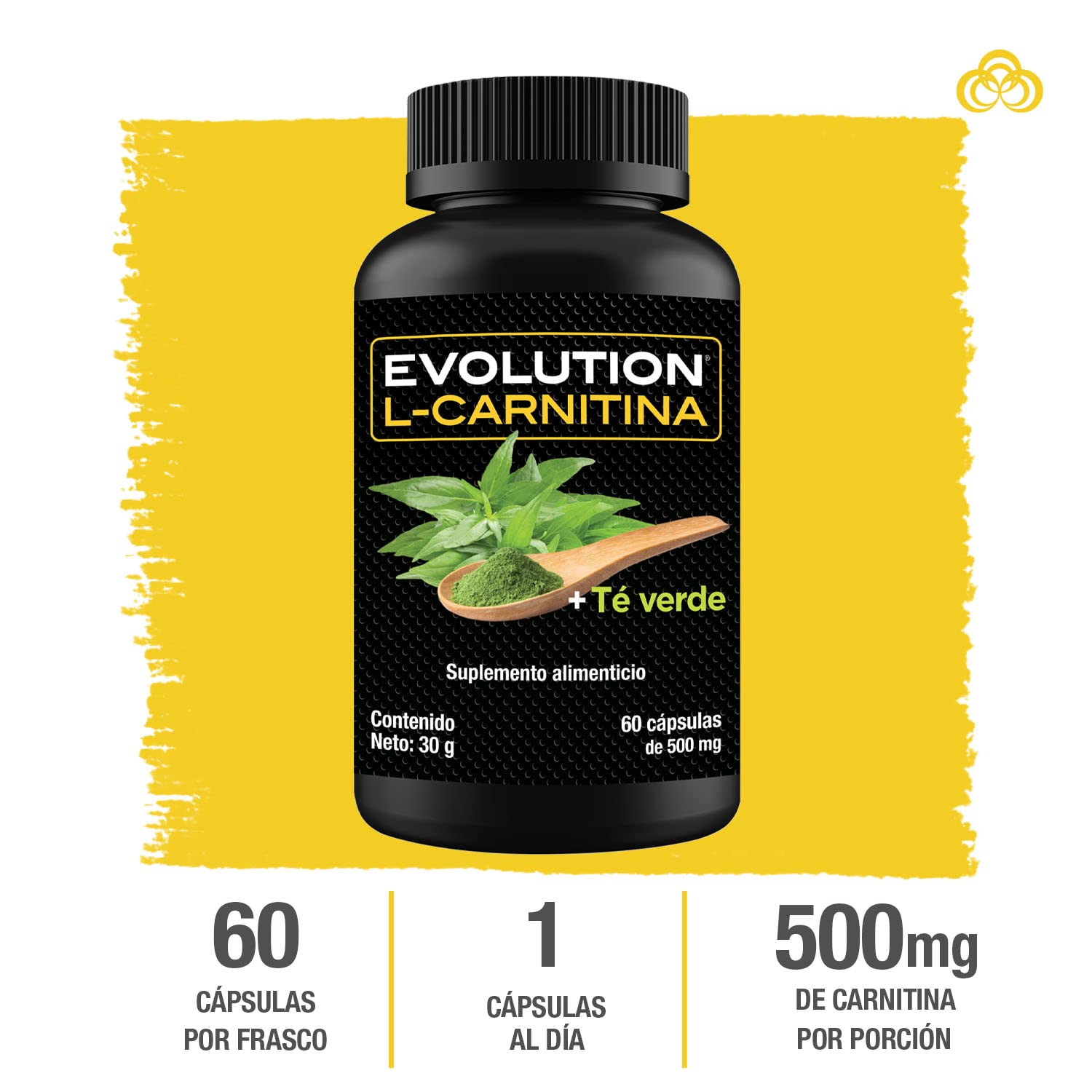 l-carnitina con te verde para que sirve EVOLUTION, L-Carnitina, Suplemento Alimenticio, Antioxidante, Sin Gluten,  Sugar Free, Pre Workout, Sin Sabor, 30 Cápsulas, 500mg por Cápsula… :  Amazon.com.mx: Salud y Cuidado Personal